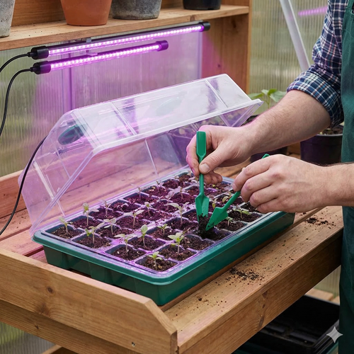 Semilux – Plateau de Semis Lumineux