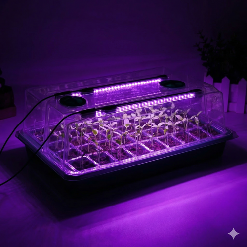 Semilux – Plateau de Semis Lumineux