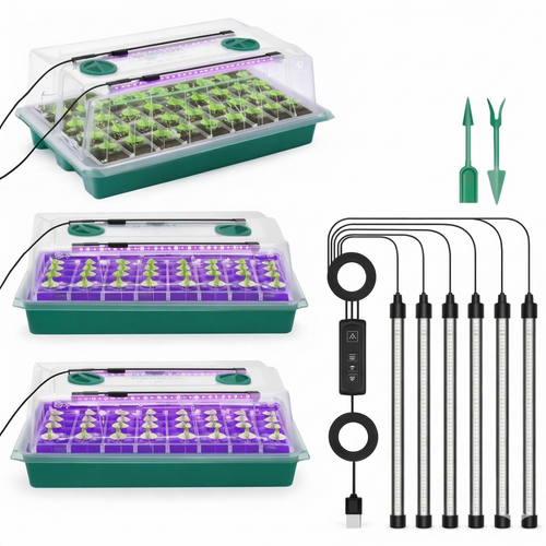 Semilux – Plateau de Semis Lumineux