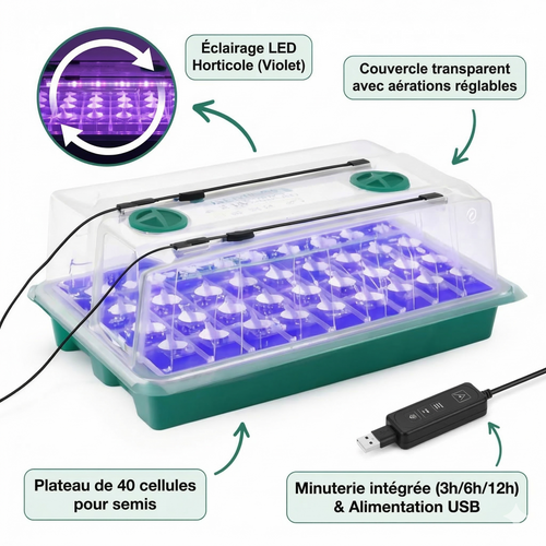 Semilux – Plateau de Semis Lumineux
