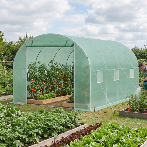 Serre Tunnel Grand Espace – Structure Renforcée (6m2)