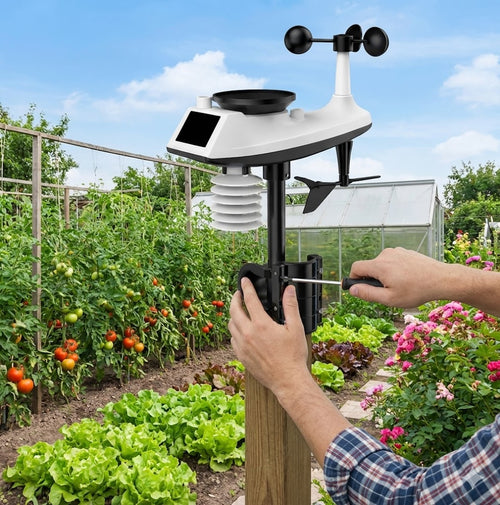 MétéoVision – Surveillance Intelligente