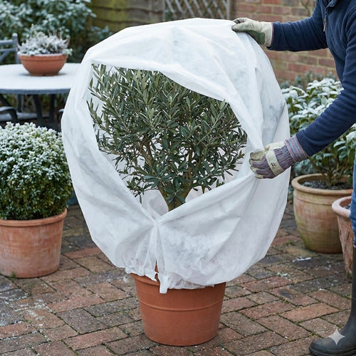 PlantoFrost – Défense Hivernale