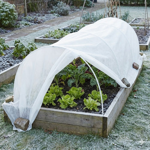 PlantoFrost – Défense Hivernale