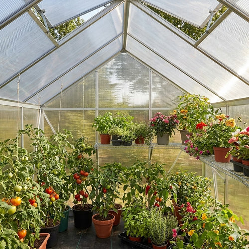 Serre polycarbonate (8m2)